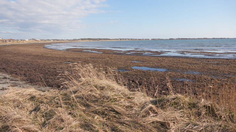 dsc07543-standard-n56svh.jpg