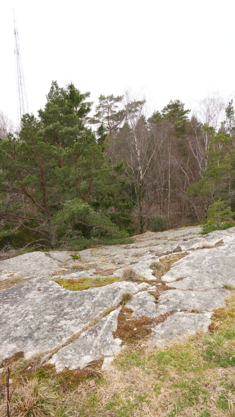 dsc07600-standard-xs0ltv.jpg