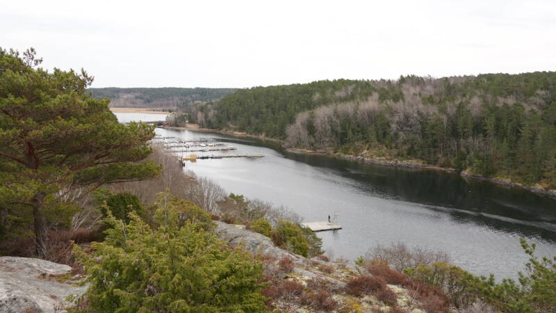 dsc07609-standard-lubd5q.jpg