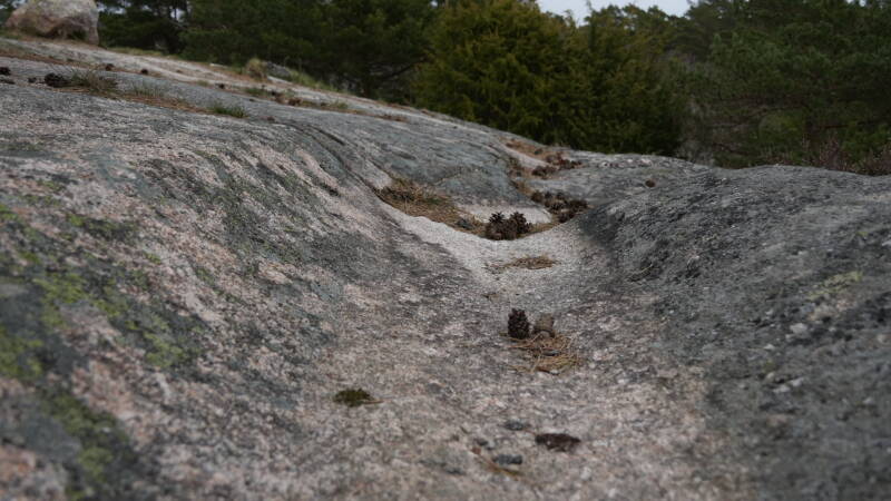 dsc07611-standard.jpg