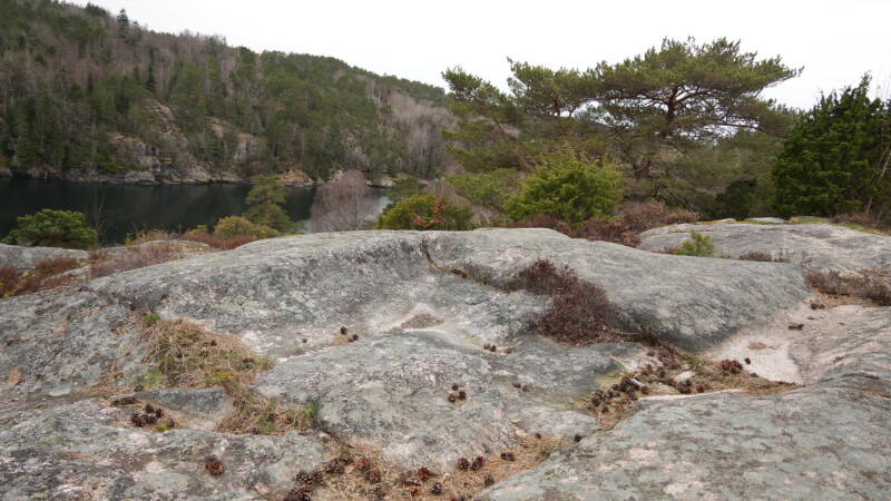 dsc07620-standard.jpg