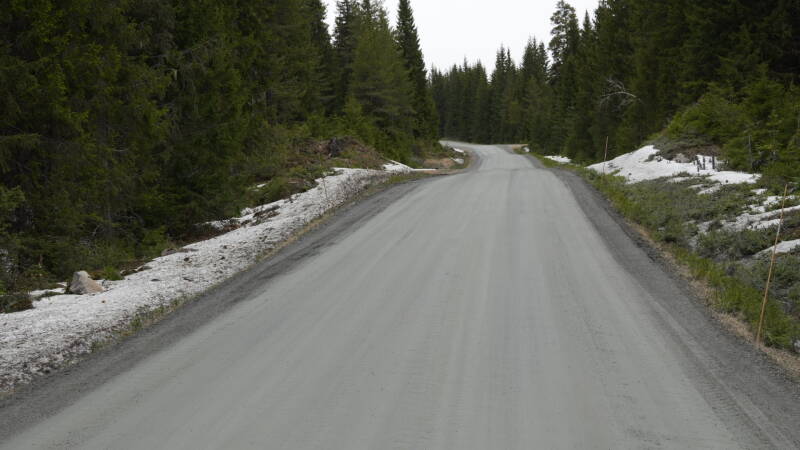 dsc07657-standard-mds1vc.jpg