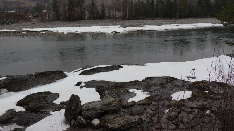 dsc07668-standard-72u8ja.jpg