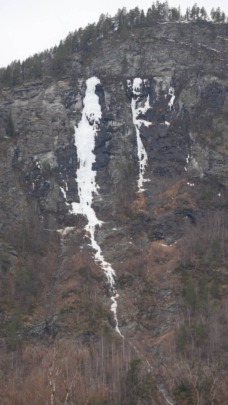 dsc07680-standard.jpg