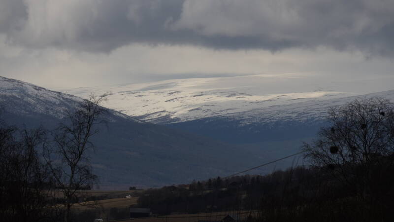 dsc07685-standard-gm4uib.jpg