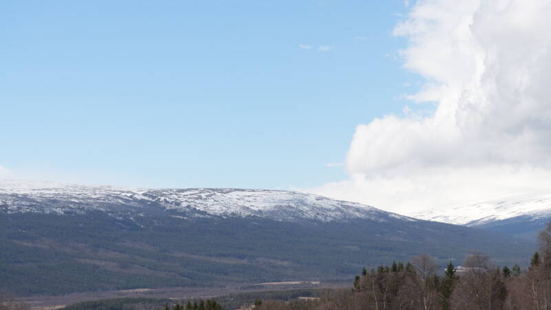 dsc07688-standard-s3oer8.jpg