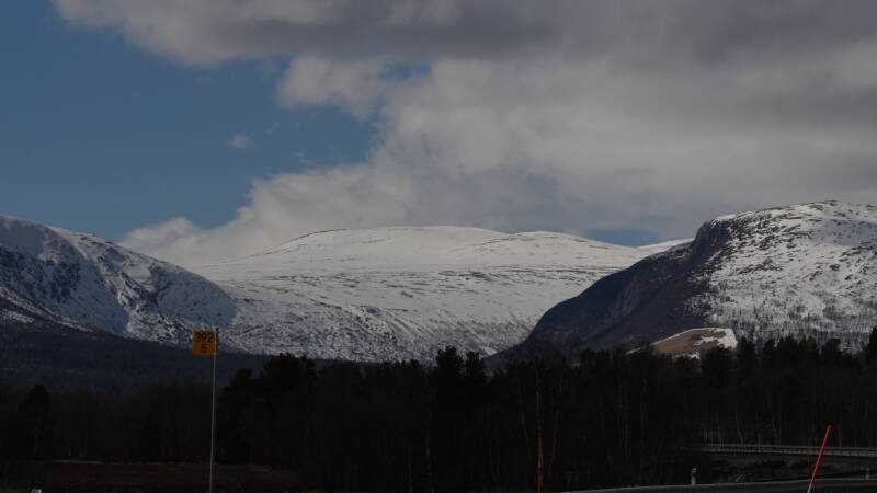 dsc07694-standard-e1fxey.jpg