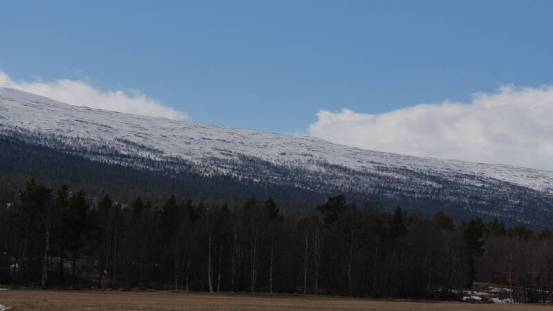 dsc07695-standard-hgc6xu.jpg