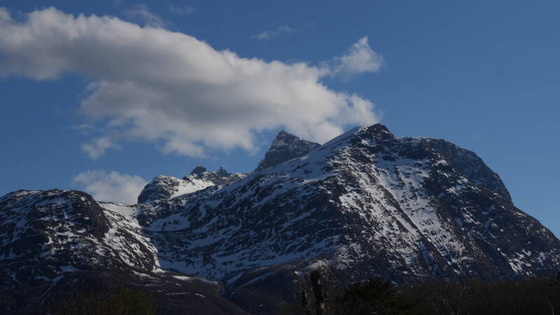 dsc07713-standard.jpg