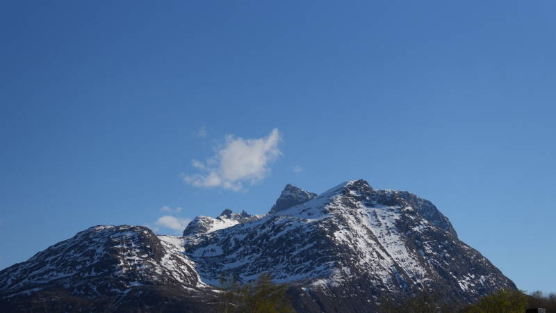 dsc07726-standard.jpg