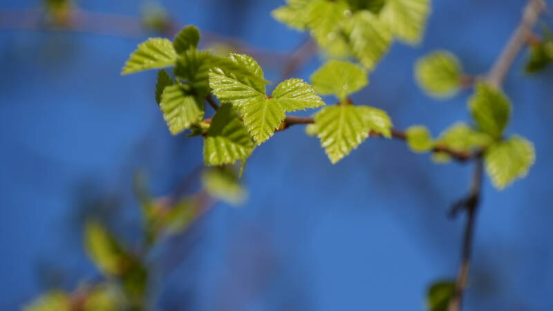 dsc07731-standard-1m6zm4.jpg