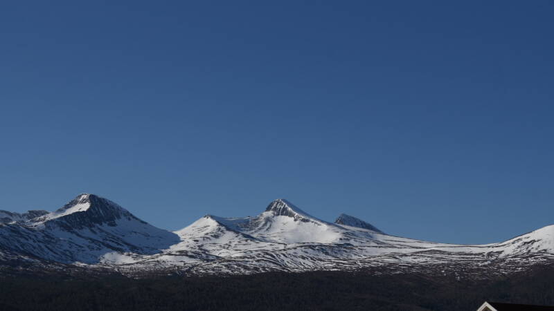 dsc07754-standard-u4rmzk.jpg