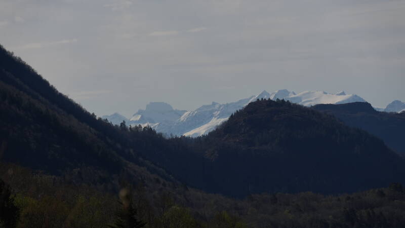 dsc07776-standard-lpwa0z.jpg