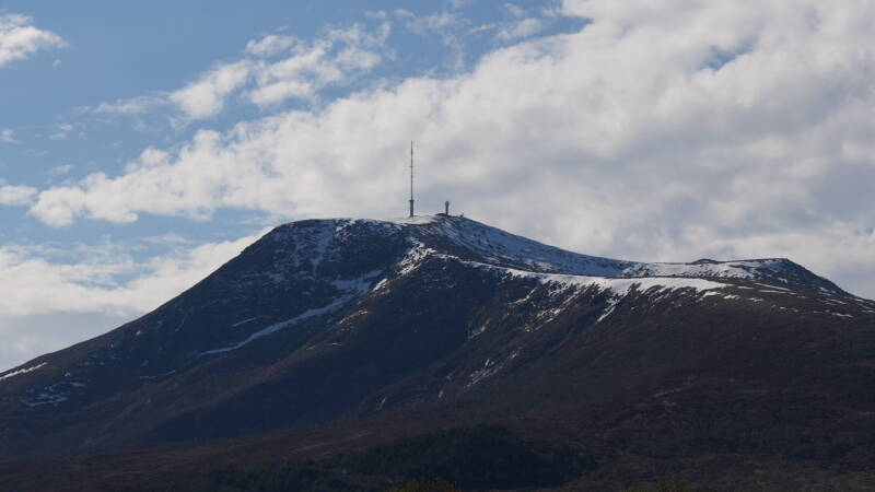 dsc07781-standard.jpg