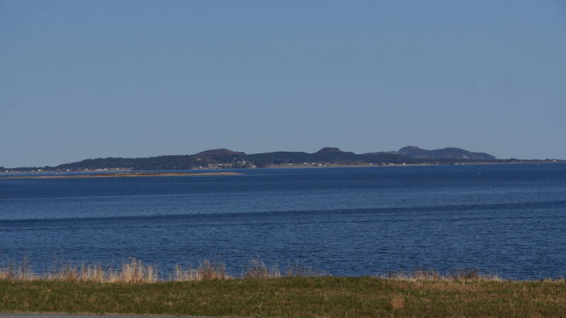 dsc07794-standard.jpg