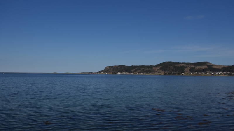 dsc07802-standard.jpg