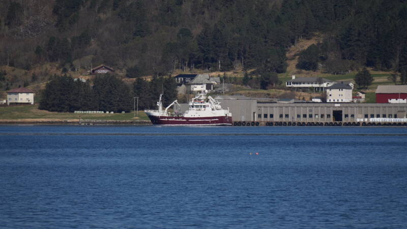 dsc07803-standard.jpg
