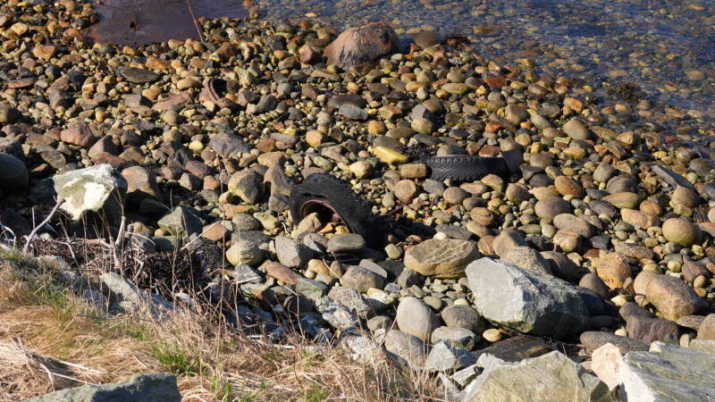 dsc07804-standard.jpg