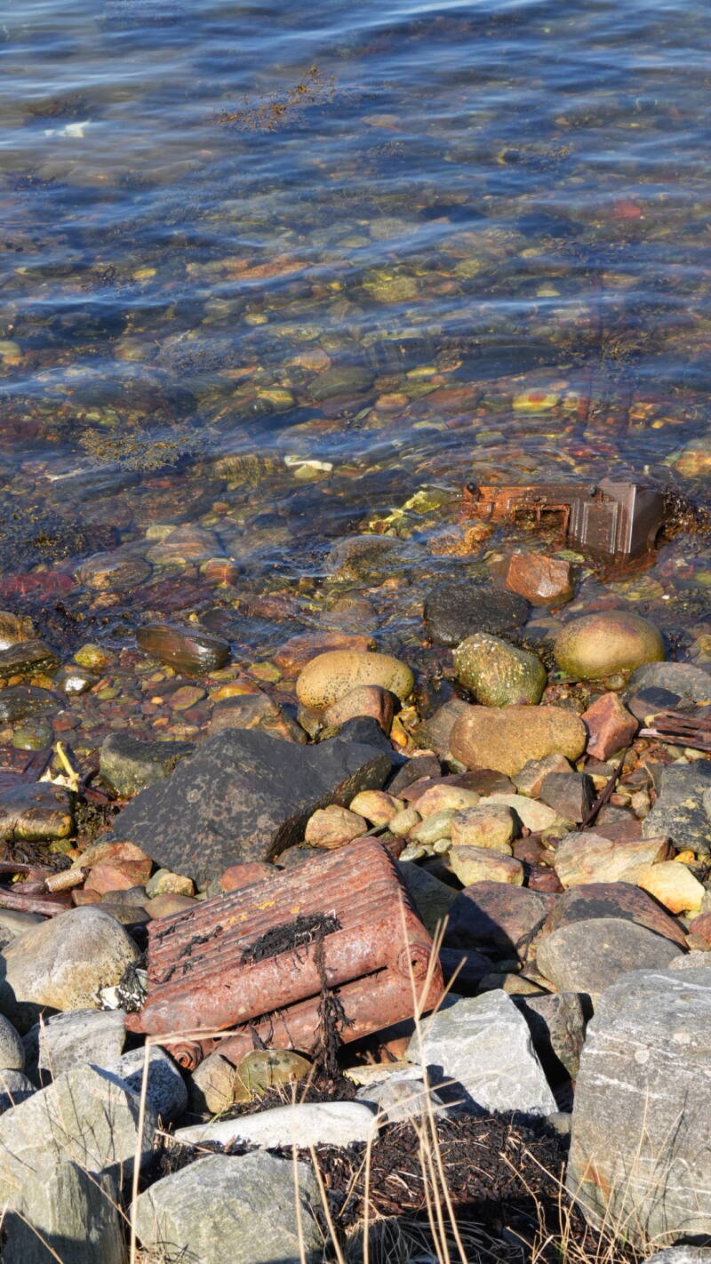 dsc07805-standard.jpg