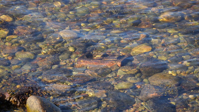 dsc07808-standard.jpg