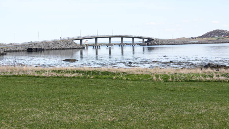 dsc07811-standard.jpg