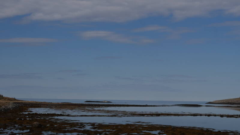 dsc07814-standard.jpg