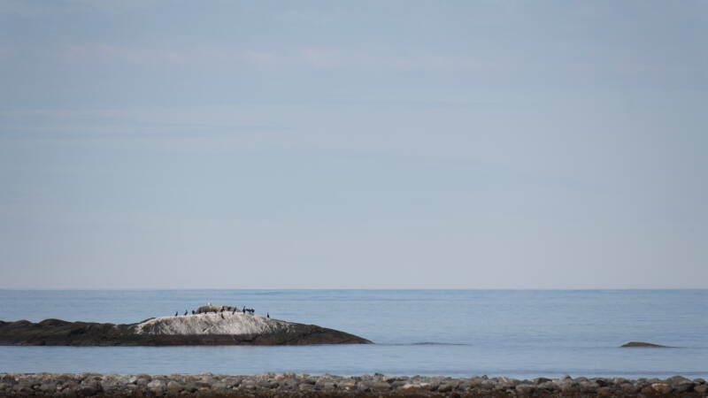 dsc07815-standard.jpg