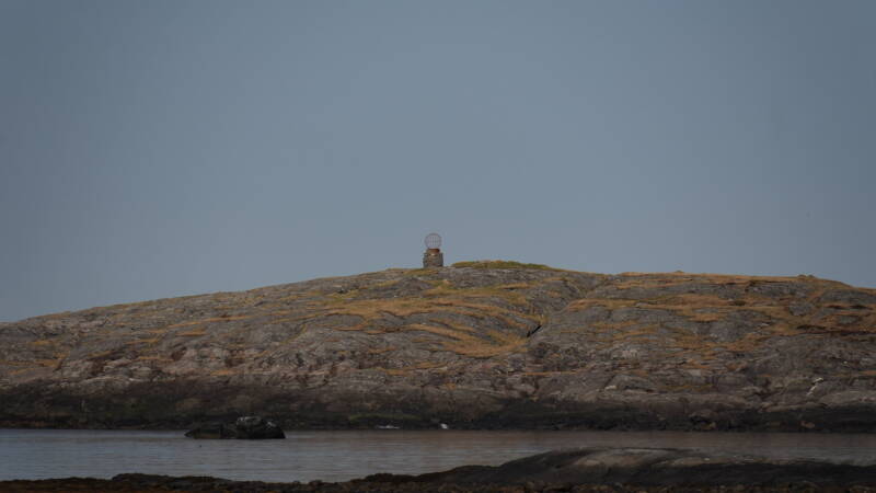 dsc07817-standard.jpg