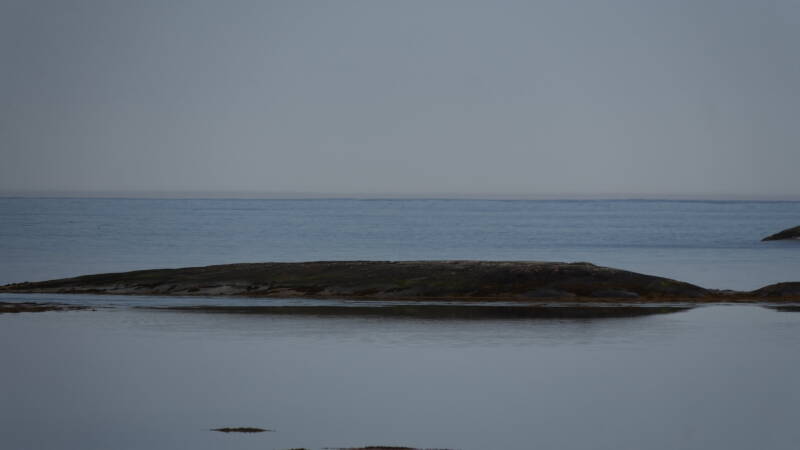 dsc07818-standard.jpg