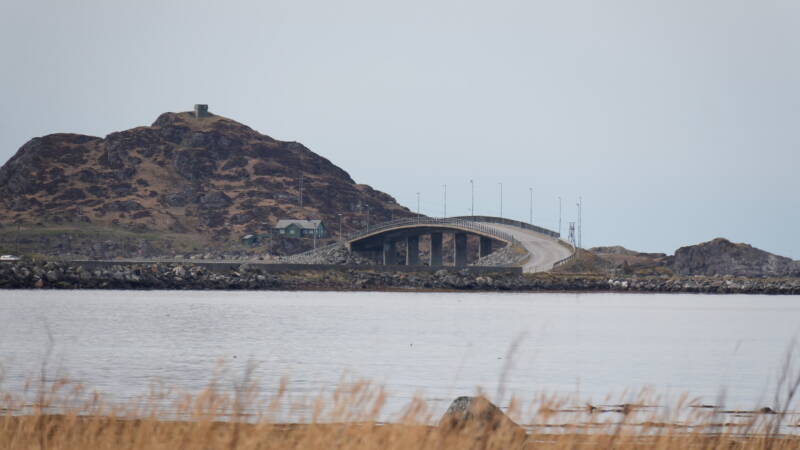 dsc07819-standard-t2yakt.jpg