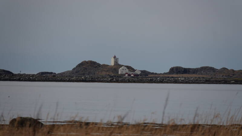 dsc07820-standard.jpg