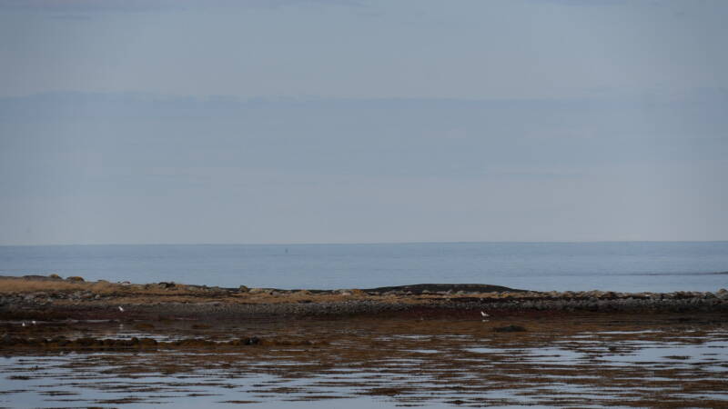 dsc07823-standard.jpg