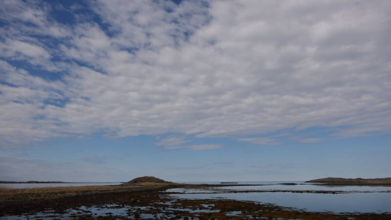 dsc07824-standard-syvhg1.jpg
