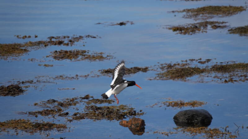 dsc07843-standard-ejifsy.jpg
