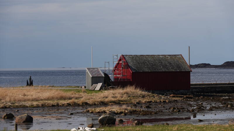 dsc07848-standard.jpg
