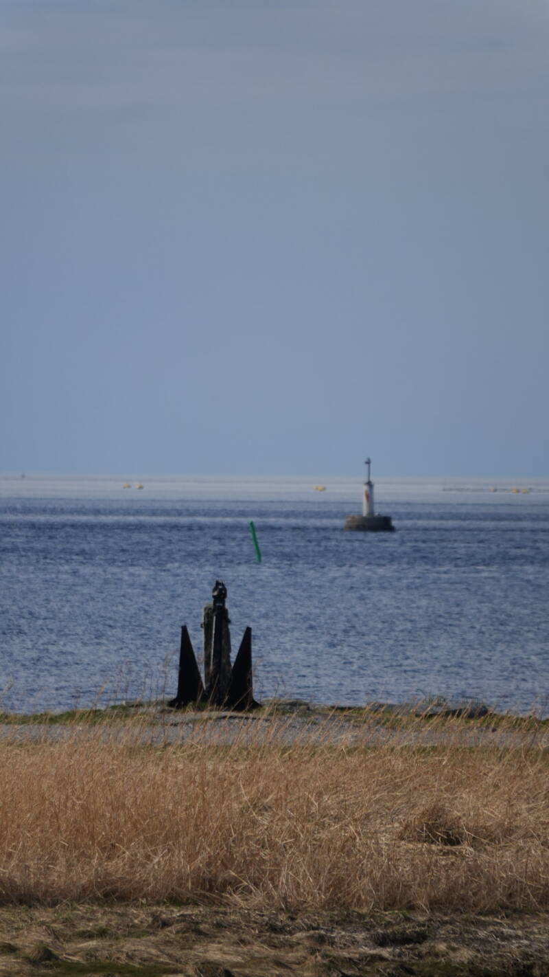 dsc07855-standard.jpg