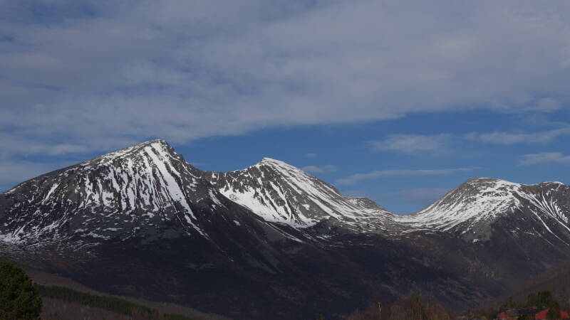 dsc07859-standard.jpg