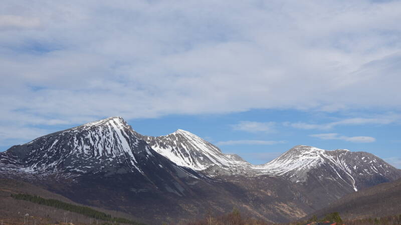 dsc07862-standard.jpg