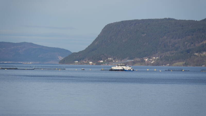dsc07865-standard-xds208.jpg