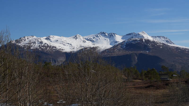 dsc07887-standard.jpg