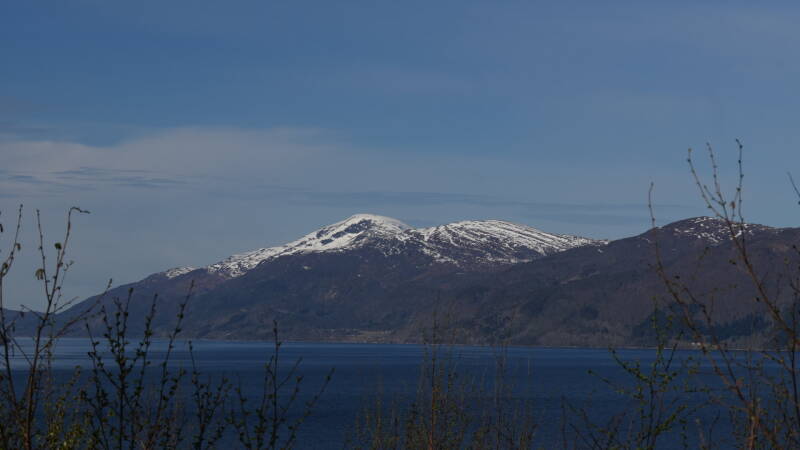 dsc07901-standard.jpg