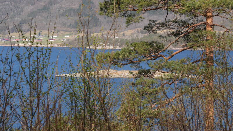 dsc07902-standard.jpg