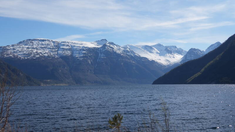 dsc07904-standard.jpg