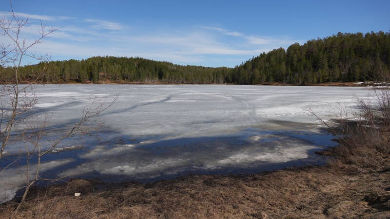 dsc07936-standard.jpg