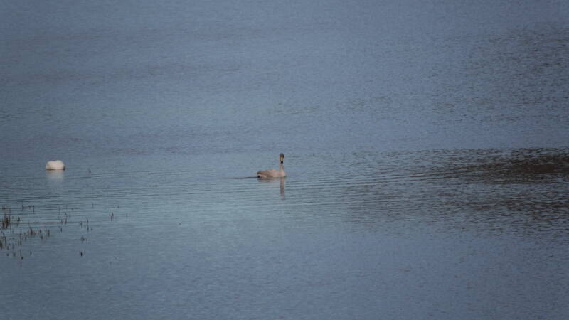 dsc07944-standard-s4k0lz.jpg