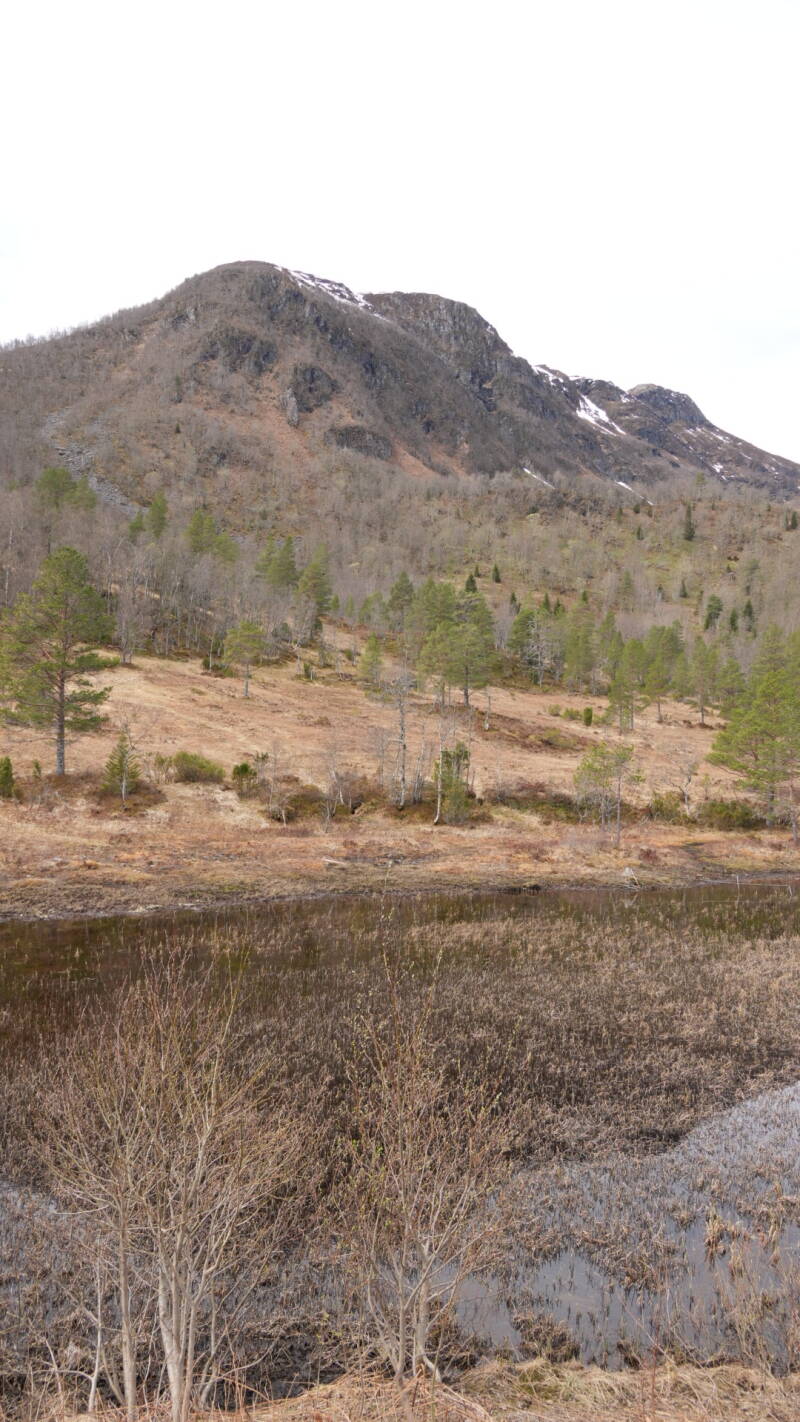dsc07947-standard.jpg