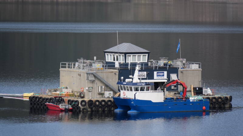 dsc07962-standard.jpg