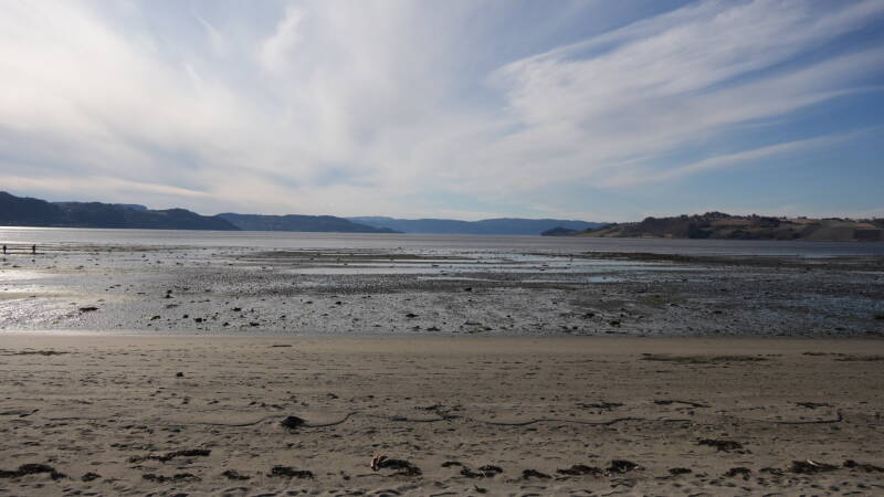 dsc07969-standard-8szl4y.jpg