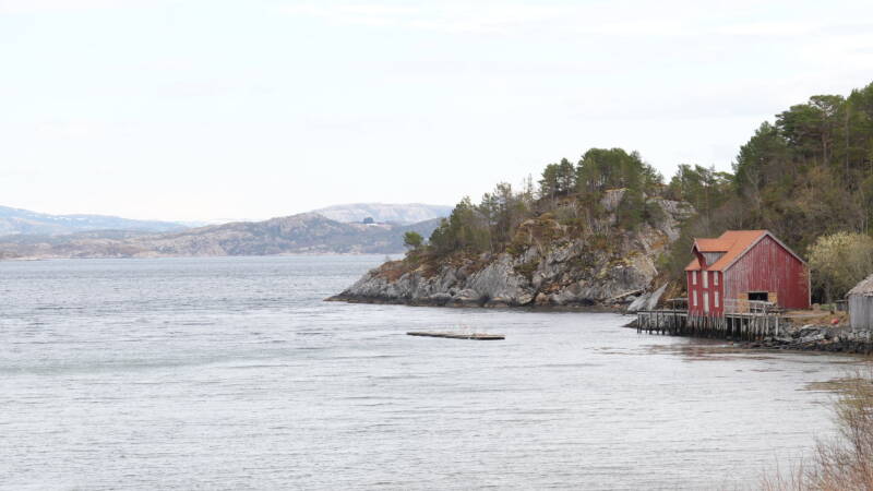 dsc07989-standard.jpg