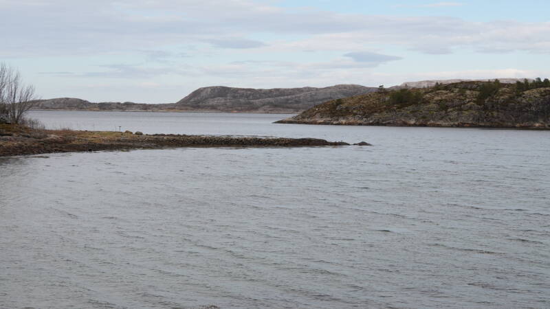 dsc08000-standard.jpg